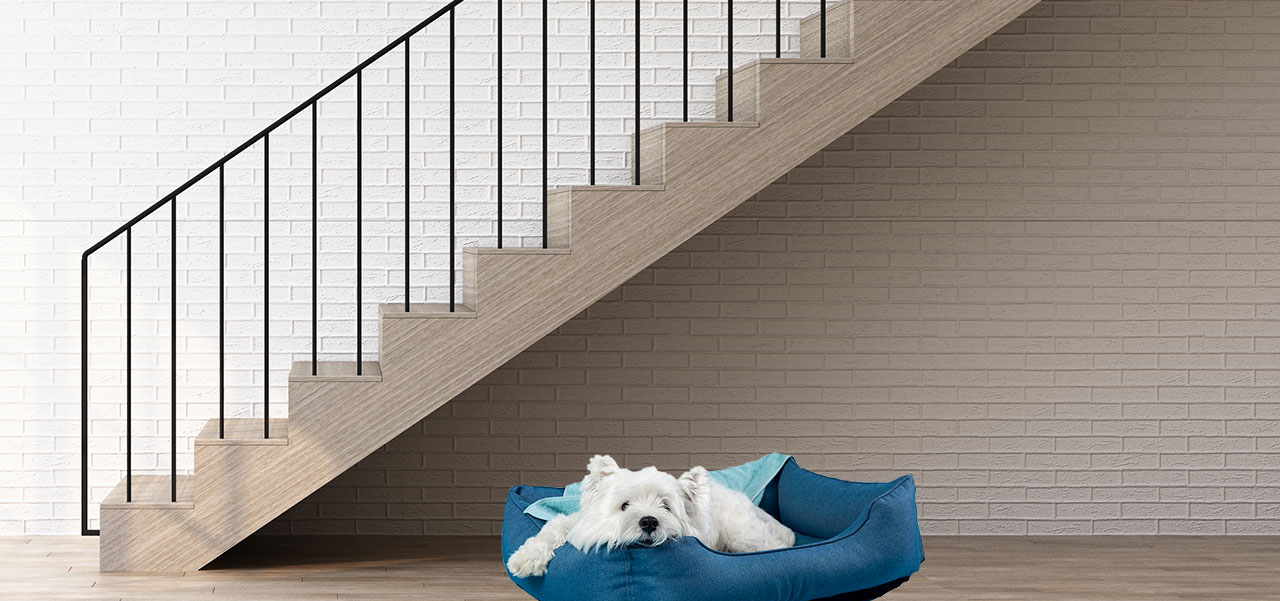 Foto de como aprovechar el espacio debajo de la escalera para refugio o casa de tu perro. 
