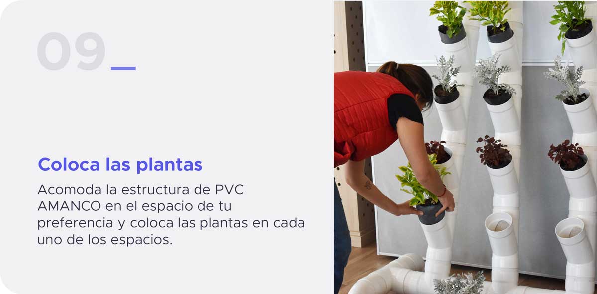 Maceteros grandes de PVC guía paso a paso Amanco y Oatey:  Paso 9. Coloca las plantas Acomoda la estructura de PVC AMANCO en el espacio de tu preferencia y coloca las plantas en cada uno de los espacios.