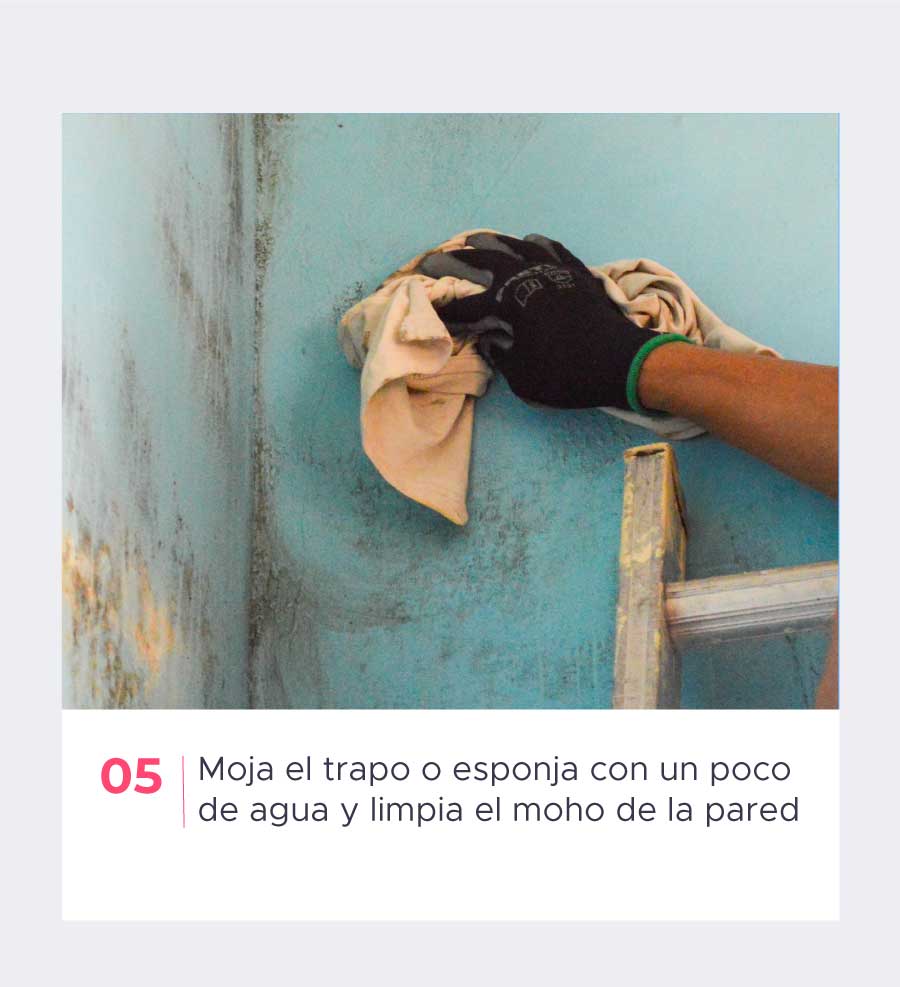 Paso 5: Moja el trapo o esponja con un poco de agua y limpia el moho de la pared