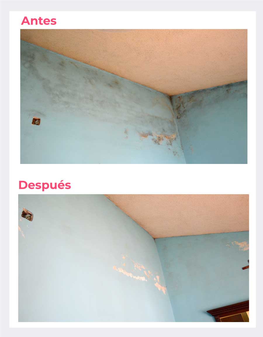 Fotografías donde se compara el antes y el después de quitar el moho negro en  paredes con estos pasos